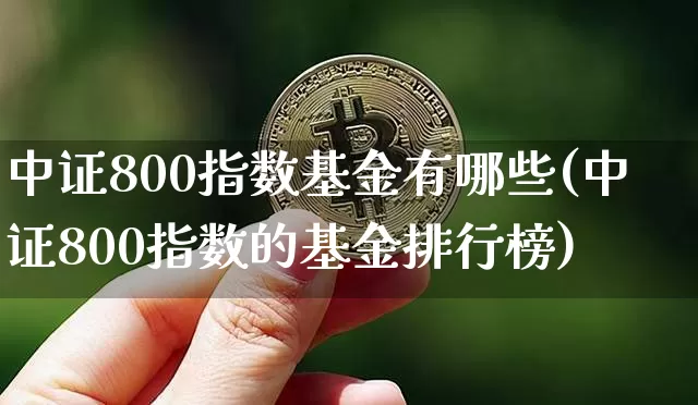 中证800指数基金有哪些(中证800指数的基金排行榜)_https://www.cangshenghg.com_科创板_第1张