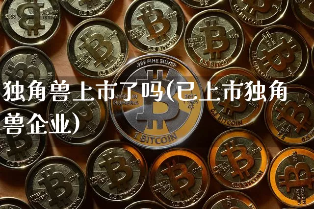 独角兽上市了吗(已上市独角兽企业)_https://www.cangshenghg.com_北交所_第1张