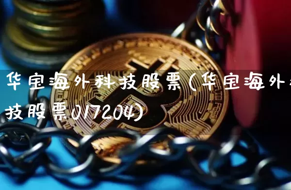 华宝海外科技股票(华宝海外科技股票017204)_https://www.cangshenghg.com_北交所_第1张