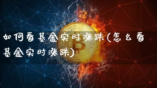 如何看基金实时涨跌(怎么看基金实时涨跌)_https://www.cangshenghg.com_科创板_第1张