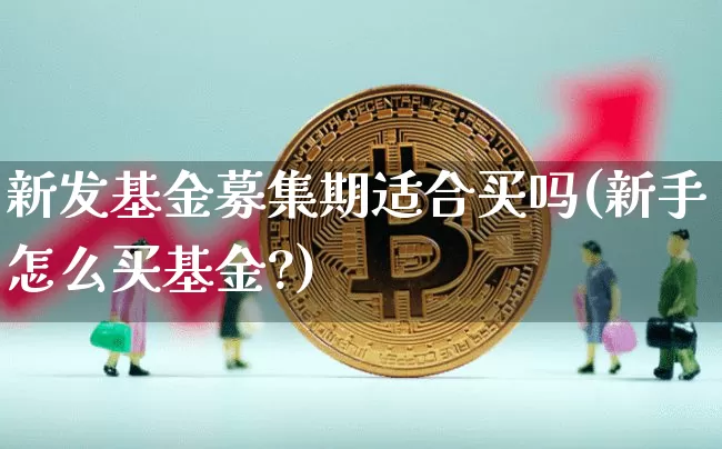 新发基金募集期适合买吗(新手怎么买基金?)_https://www.cangshenghg.com_A股_第1张