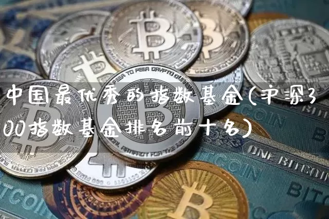 中国最优秀的指数基金(沪深300指数基金排名前十名)_https://www.cangshenghg.com_创业板_第1张
