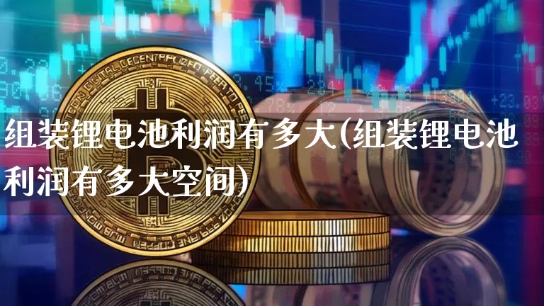 组装锂电池利润有多大(组装锂电池利润有多大空间)_https://www.cangshenghg.com_北交所_第1张