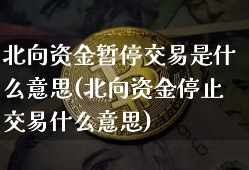 北向资金暂停交易是什么意思(北向资金停止交易什么意思)_https://www.cangshenghg.com_财经新闻_第1张