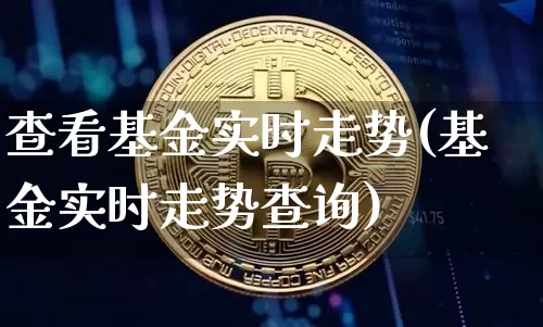 查看基金实时走势(基金实时走势查询)_https://www.cangshenghg.com_科创板_第1张