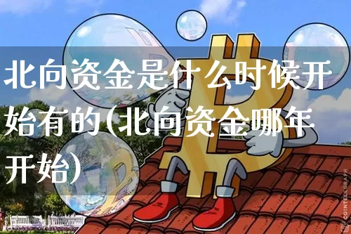 北向资金是什么时候开始有的(北向资金哪年开始)_https://www.cangshenghg.com_创业板_第1张