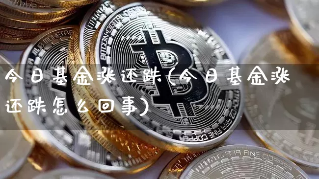 今日基金涨还跌(今日基金涨还跌怎么回事)_https://www.cangshenghg.com_科创板_第1张