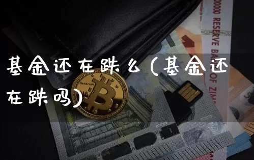 基金还在跌么(基金还在跌吗)_https://www.cangshenghg.com_北交所_第1张