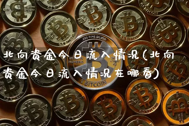 北向资金今日流入情况(北向资金今日流入情况在哪看)_https://www.cangshenghg.com_北交所_第1张