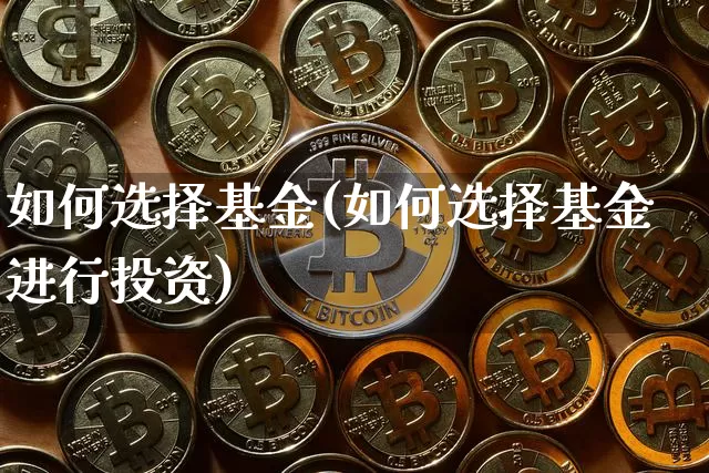 如何选择基金(如何选择基金进行投资)_https://www.cangshenghg.com_北交所_第1张