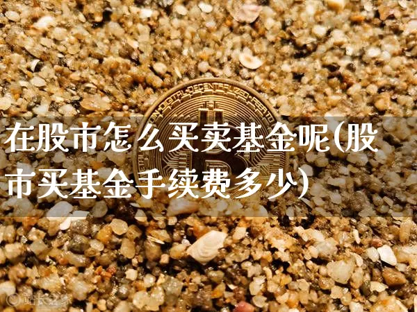 在股市怎么买卖基金呢(股市买基金手续费多少)_https://www.cangshenghg.com_北交所_第1张