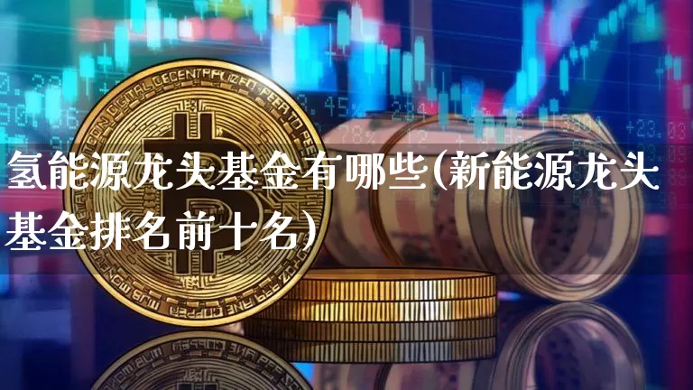 氢能源龙头基金有哪些(新能源龙头基金排名前十名)_https://www.cangshenghg.com_A股_第1张