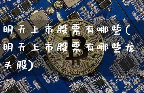明天上市股票有哪些(明天上市股票有哪些龙头股)_https://www.cangshenghg.com_创业板_第1张