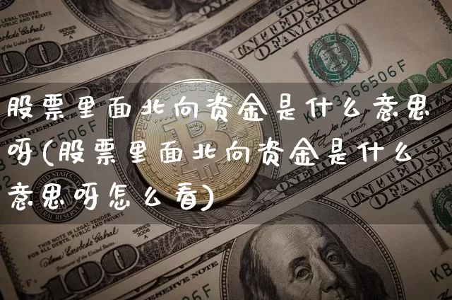 股票里面北向资金是什么意思呀(股票里面北向资金是什么意思呀怎么看)_https://www.cangshenghg.com_创业板_第1张