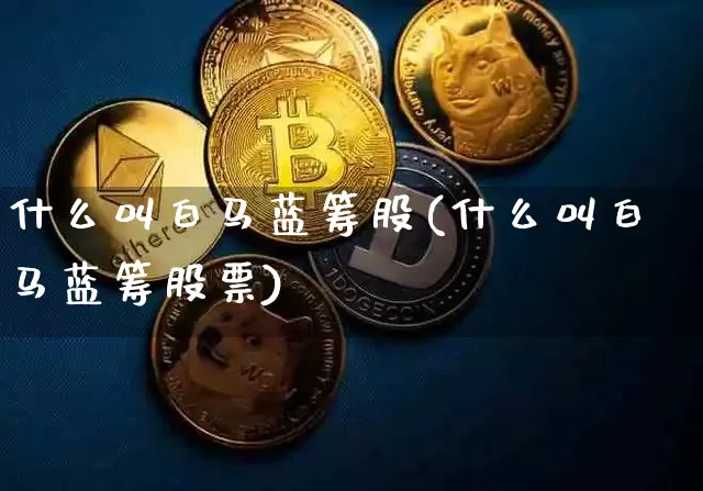 什么叫白马蓝筹股(什么叫白马蓝筹股票)_https://www.cangshenghg.com_A股_第1张