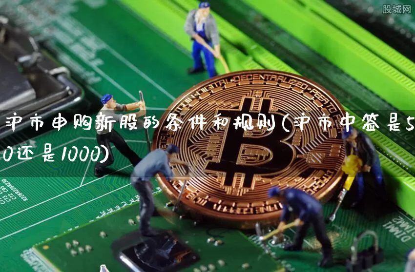 沪市申购新股的条件和规则(沪市中签是500还是1000)_https://www.cangshenghg.com_A股_第1张