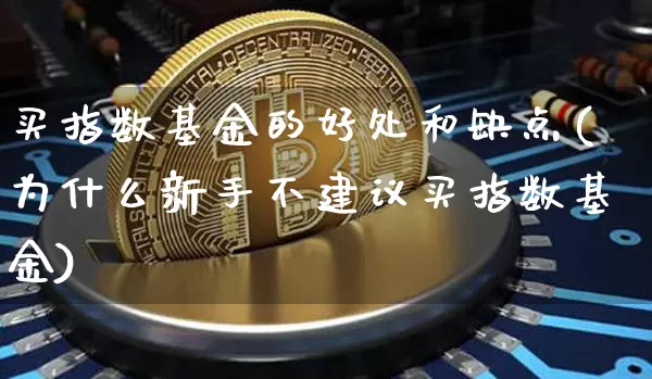 买指数基金的好处和缺点(为什么新手不建议买指数基金)_https://www.cangshenghg.com_北交所_第1张