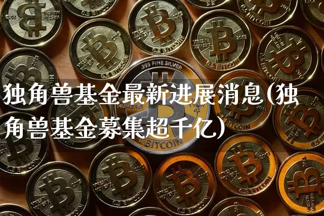 独角兽基金最新进展消息(独角兽基金募集超千亿)_https://www.cangshenghg.com_北交所_第1张