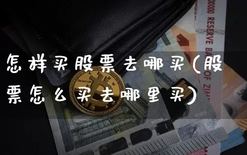 怎样买股票去哪买(股票怎么买去哪里买)_https://www.cangshenghg.com_创业板_第1张