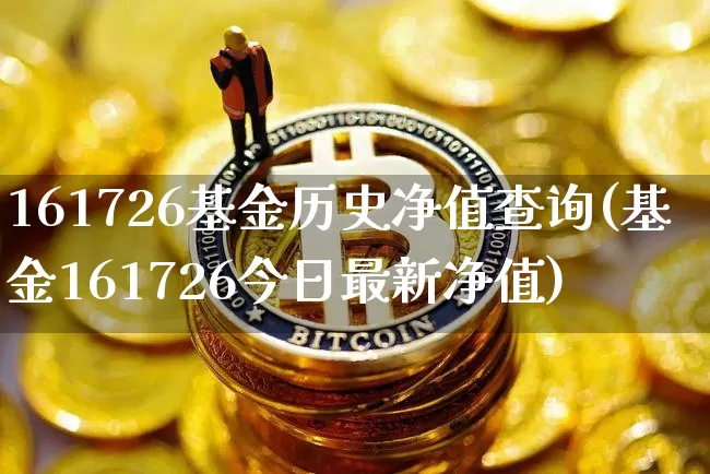 161726基金历史净值查询(基金161726今日最新净值)_https://www.cangshenghg.com_创业板_第1张