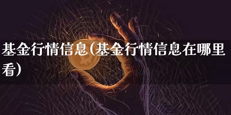 基金行情信息(基金行情信息在哪里看)_https://www.cangshenghg.com_科创板_第1张