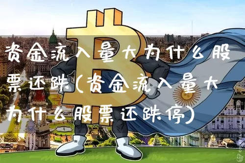 资金流入量大为什么股票还跌(资金流入量大为什么股票还跌停)_https://www.cangshenghg.com_北交所_第1张