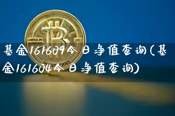 基金161609今日净值查询(基金161604今日净值查询)_https://www.cangshenghg.com_创业板_第1张