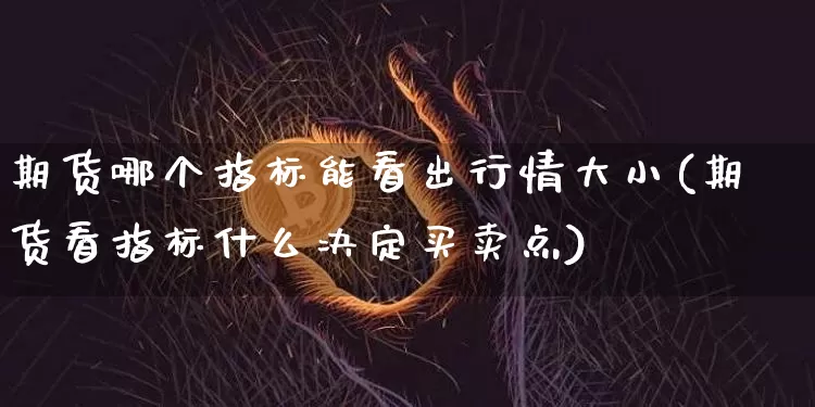 期货哪个指标能看出行情大小(期货看指标什么决定买卖点)_https://www.cangshenghg.com_科创板_第1张