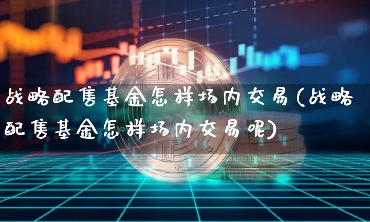 战略配售基金怎样场内交易(战略配售基金怎样场内交易呢)_https://www.cangshenghg.com_创业板_第1张