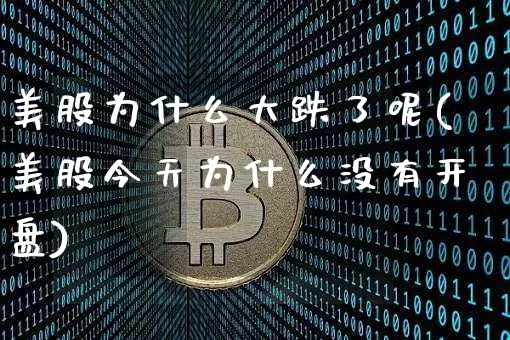 美股为什么大跌了呢(美股今天为什么没有开盘)_https://www.cangshenghg.com_创业板_第1张