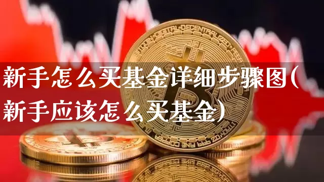新手怎么买基金详细步骤图(新手应该怎么买基金)_https://www.cangshenghg.com_北交所_第1张
