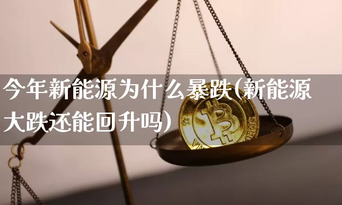 今年新能源为什么暴跌(新能源大跌还能回升吗)_https://www.cangshenghg.com_财经新闻_第1张