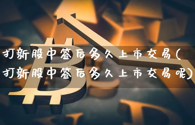 打新股中签后多久上市交易(打新股中签后多久上市交易呢)_https://www.cangshenghg.com_财经新闻_第1张