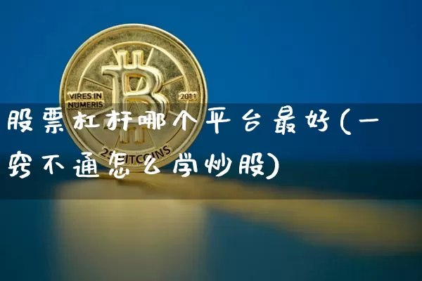 股票杠杆哪个平台最好(一窍不通怎么学炒股)_https://www.cangshenghg.com_财经新闻_第1张