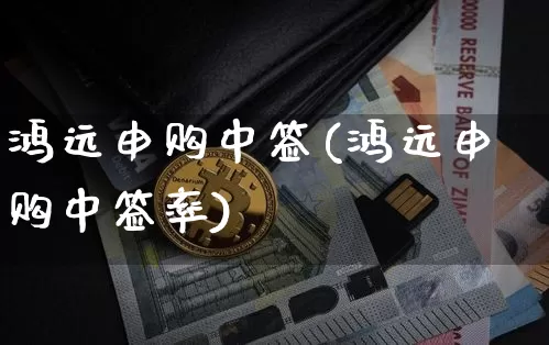 鸿远申购中签(鸿远申购中签率)_https://www.cangshenghg.com_北交所_第1张
