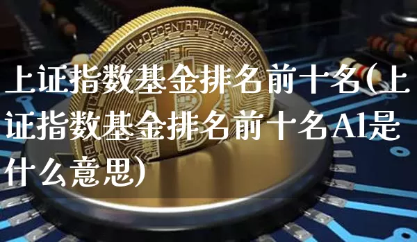 上证指数基金排名前十名(上证指数基金排名前十名Al是什么意思)_https://www.cangshenghg.com_科创板_第1张