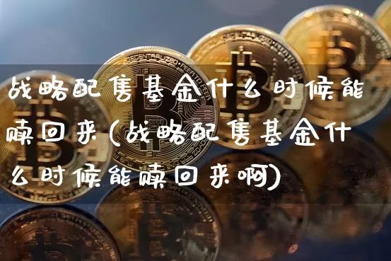 战略配售基金什么时候能赎回来(战略配售基金什么时候能赎回来啊)_https://www.cangshenghg.com_北交所_第1张