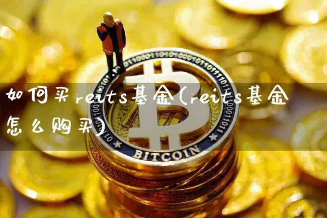 如何买reits基金(reits基金怎么购买)_https://www.cangshenghg.com_北交所_第1张