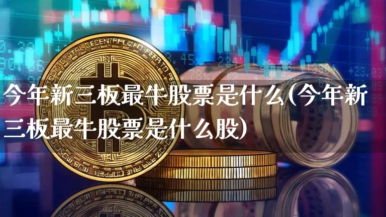 今年新三板最牛股票是什么(今年新三板最牛股票是什么股)_https://www.cangshenghg.com_北交所_第1张
