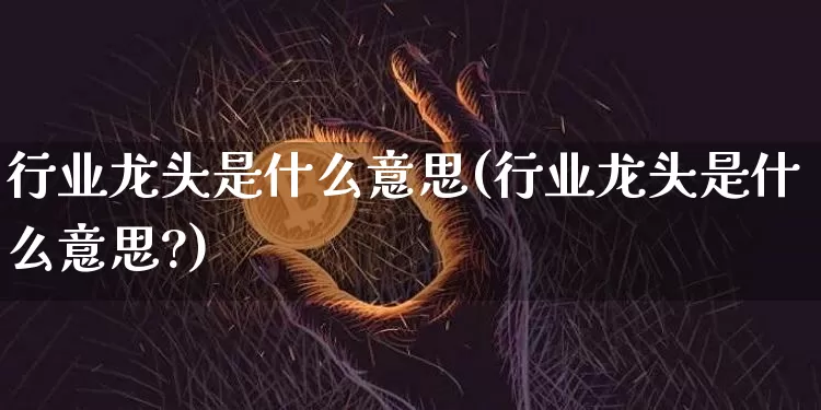 行业龙头是什么意思(行业龙头是什么意思?)_https://www.cangshenghg.com_A股_第1张