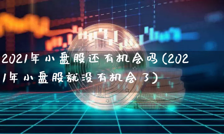 2021年小盘股还有机会吗(2021年小盘股就没有机会了)_https://www.cangshenghg.com_财经新闻_第1张