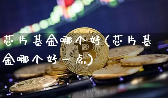 芯片基金哪个好(芯片基金哪个好一点)_https://www.cangshenghg.com_北交所_第1张