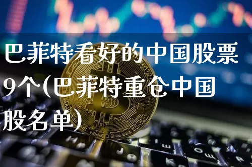 巴菲特看好的中国股票9个(巴菲特重仓中国股名单)_https://www.cangshenghg.com_财经新闻_第1张