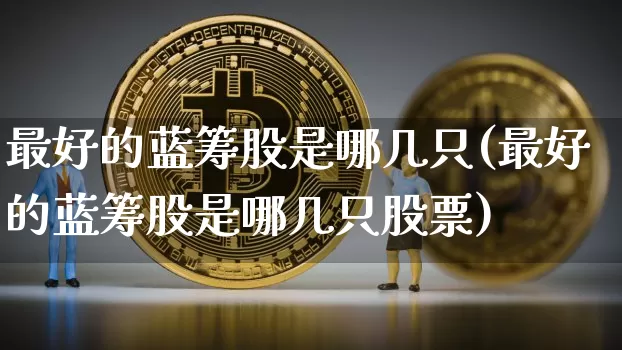 最好的蓝筹股是哪几只(最好的蓝筹股是哪几只股票)_https://www.cangshenghg.com_创业板_第1张