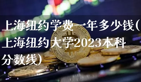 上海纽约学费一年多少钱(上海纽约大学2023本科分数线)_https://www.cangshenghg.com_创业板_第1张