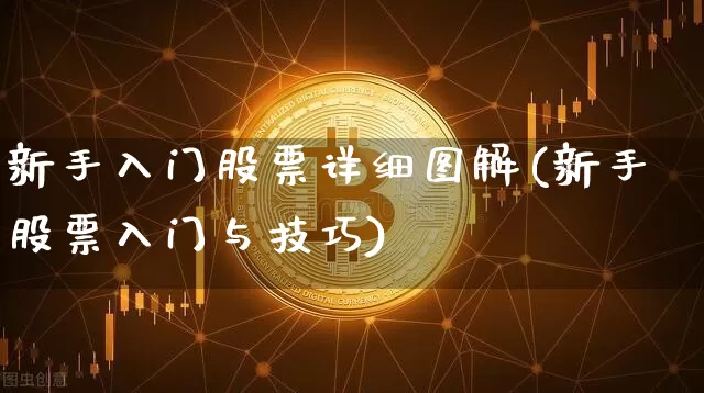 新手入门股票详细图解(新手股票入门与技巧)_https://www.cangshenghg.com_北交所_第1张