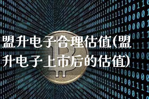 盟升电子合理估值(盟升电子上市后的估值)_https://www.cangshenghg.com_财经新闻_第1张