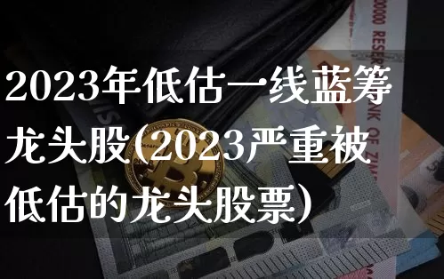 2023年低估一线蓝筹龙头股(2023严重被低估的龙头股票)_https://www.cangshenghg.com_财经新闻_第1张