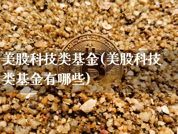 美股科技类基金(美股科技类基金有哪些)_https://www.cangshenghg.com_财经新闻_第1张