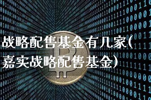 战略配售基金有几家(嘉实战略配售基金)_https://www.cangshenghg.com_创业板_第1张